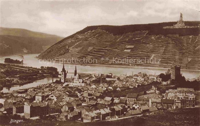 Bingen Rhein Panorama