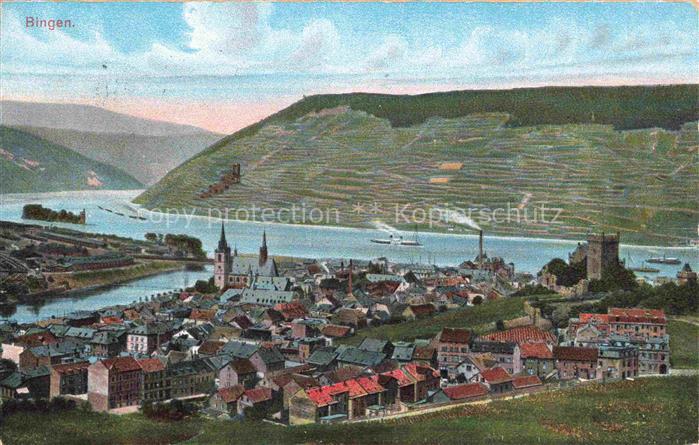 Bingen Rhein Panorama