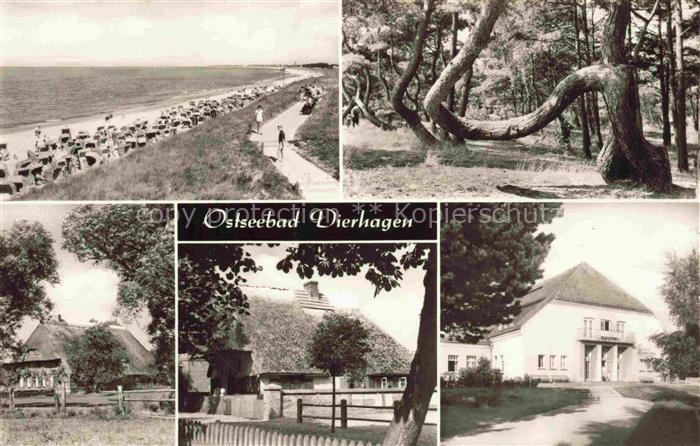 Dierhagen Ostseebad Strandpartie Inselhaeuser Wald