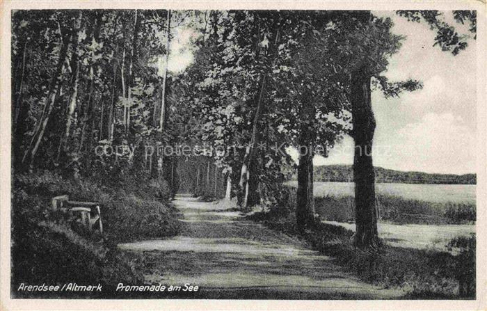 Arendsee Altmark Sachsen-Anhalt Promenade am See