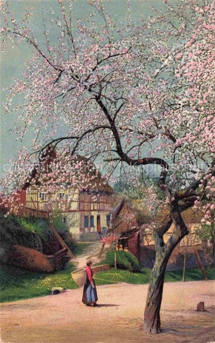 Photochromie Verlag Photochromie Nr. 4104 Serie 260Rosenbaum Dorf