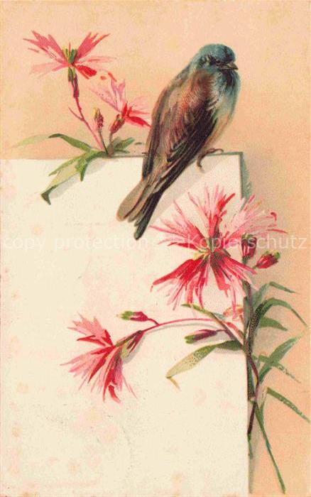 Verlag Kopal Nr. 374 Voegel Blumen Fleurs