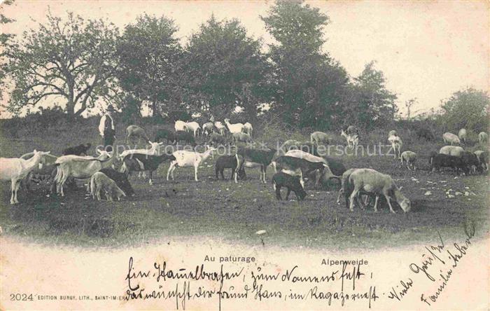 Schaeferei Sheperding Bergerie-- Au paturage Alpenweide