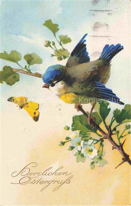 Ostern Easter Paques Pasqua-- Voegel Schmetterling