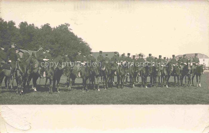 Militaria Schweiz Pferde