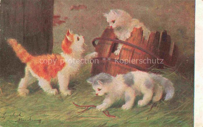 KATZEN Cats Chats Gatos Gatti-- Bauernhof