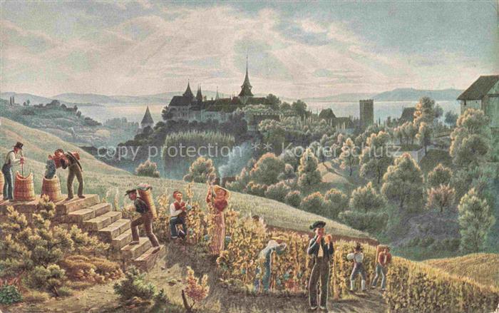 Wein Wine Vin Vino-- Neuchateloise Schweiz