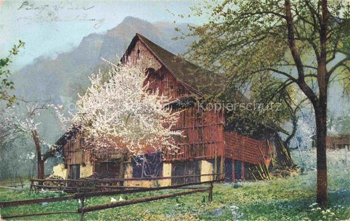 Photochromie Verlag Photochromie Nr. 1598 Bauernhof