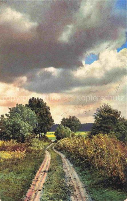 Photochromie Verlag Photochromie Nr. 2808 Wiese Serie 152