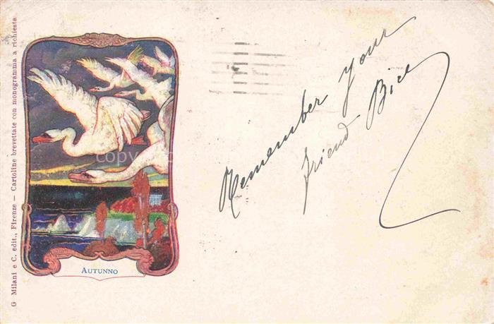 Jahreszeiten Stagioni Estaciones Saisons-- Schwaene Herbst Autunno