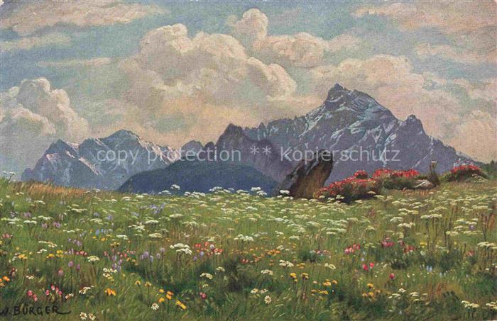 BURGER P. Kuenstlerkarte Bluehende Alpe Blumen