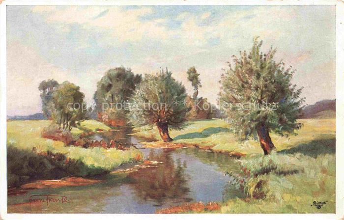 Verlag Primus Nr. 03392 Wiese