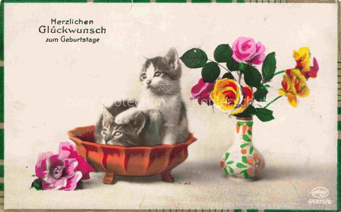Foto Amag Nr. 64570/6 Geburtstage Katzen Blumen Vase