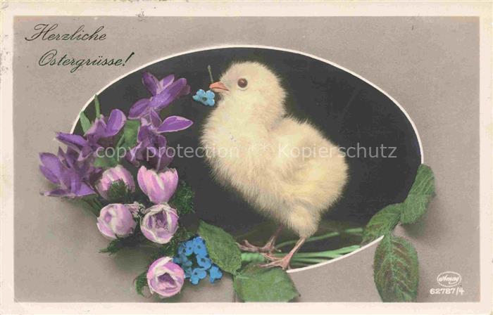 Foto Amag Nr. 62787/4 Ostern Paques Kueken Blumen
