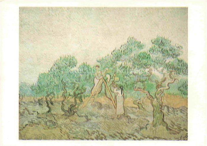 GOGH van Vincent (1853-1890) Kuenstlerkarte Olivenfeld Olive Orchard