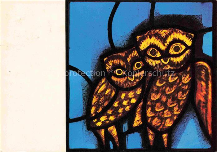 Eule Owl Hibou Chouette-- Taize eglise