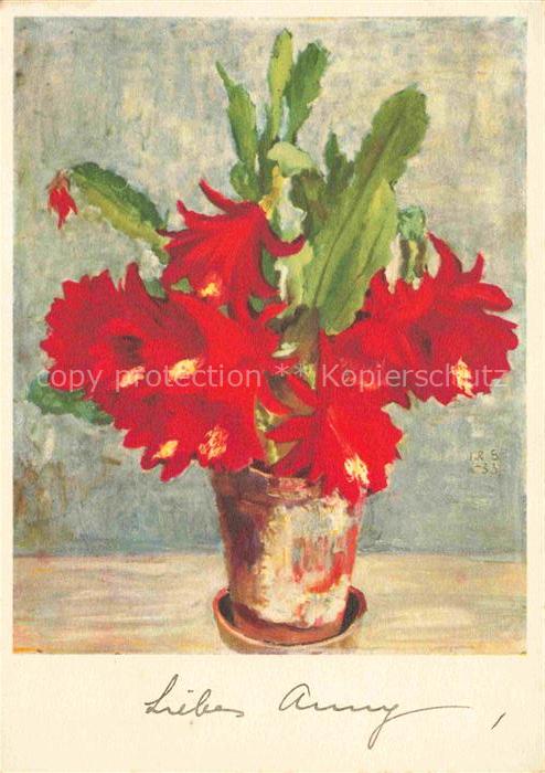 SCHELLENBERG J. R. Huetten Kuenstlerkarte Roter Kaktus Rouge Cactus Litho