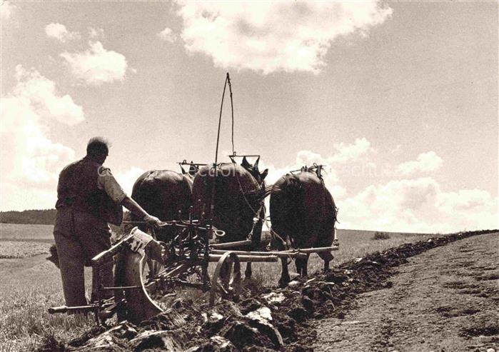 Landwirtschaft F. Rindlisbacher Liebefeld Schweiz