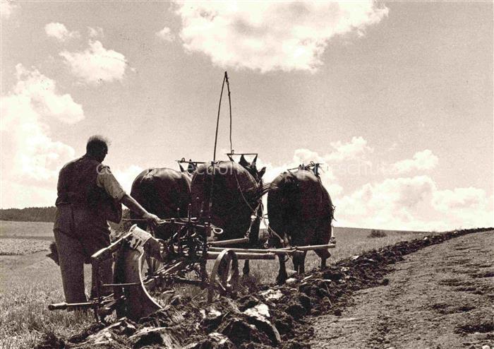 Landwirtschaft F. Rindlisbacher Liebefeld Schweiz