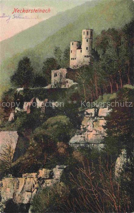Neckarsteinach Burg