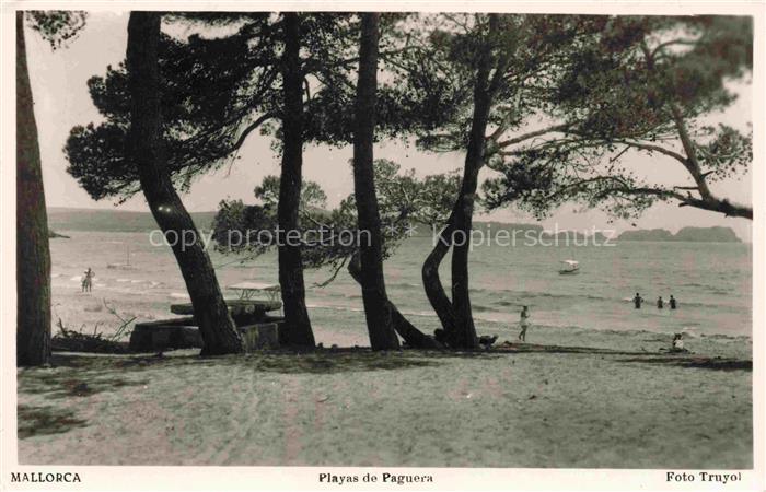 Paguera Peguera Calvia Mallorca ES Playas de Paguera