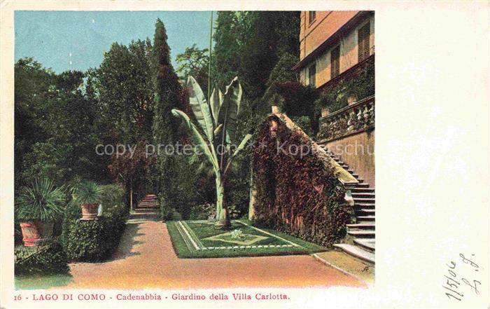 Cadenabbia Griante Lago di Como Lombardia IT Giardino della Villa Carlotta