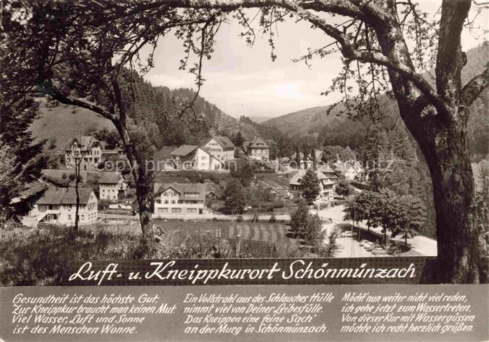 Schoenmuenzach Baiersbronn Panorama
