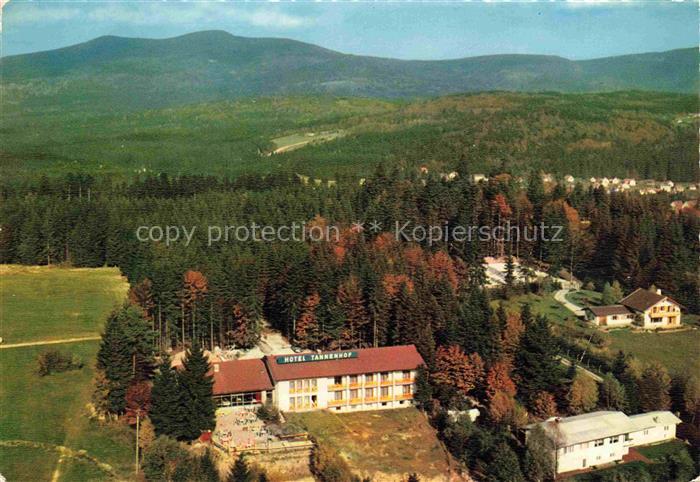 Hochreuth Spiegelau Freyung-Grafenau Bayern Hotel Tannenhof Terrassen Cafe