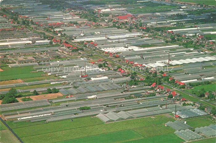 Aalsmeer Noord-Holland NL The largest Flower auction in the world