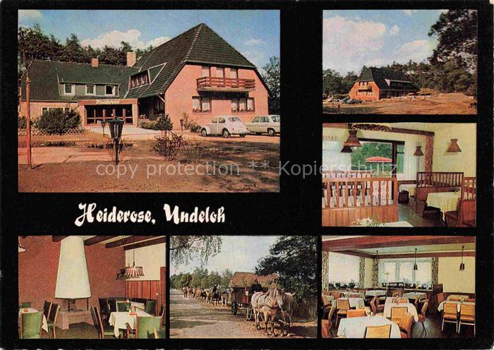 Undeloh Gasthaus Heiderose Gastraeume Pferdekutschen