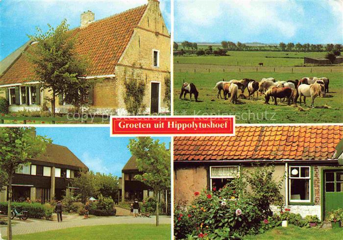 Hippolytushoef Noord-Holland NL De Wolkenkrabber Ponys Teilansichten