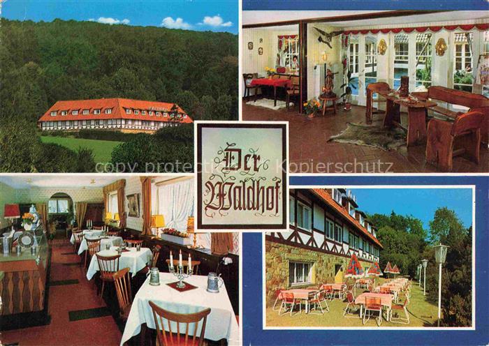 Bad Eilsen Schaumburg Niedersachsen Hotel der Waldhof Gastraeume Terrasse