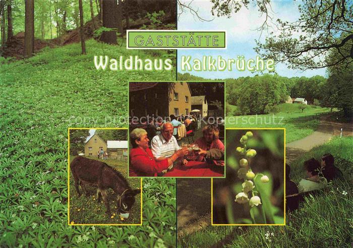 Kaltofen Hainichen Sachsen Waldhaus Kalkbrueche Freiterrasse Park Esel