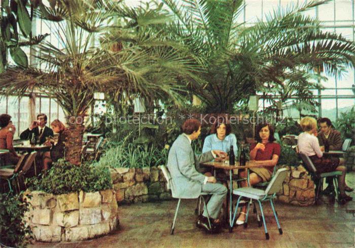 ZIELONA GORA Gruenberg PL Wnetrize kawiarni Palmiarnia