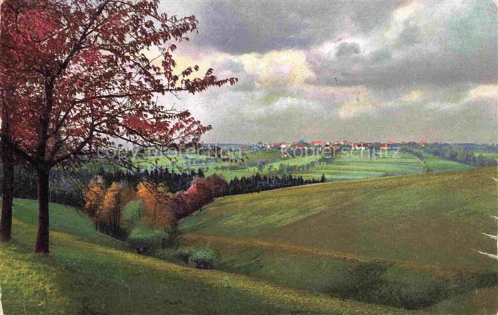 Photochromie Verlag Photochromie Nr. 8196 Landschaft