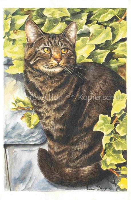 KATZEN Cats Chats Gatos Gatti-- Tabby Cats