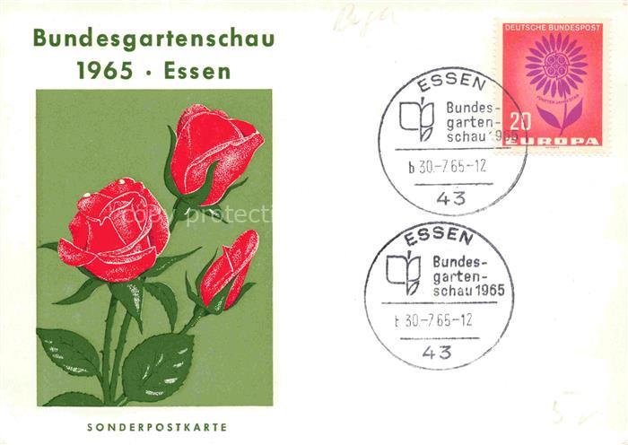 BUGA Bundesgartenschau Essen Sonderpostkarte Rosen