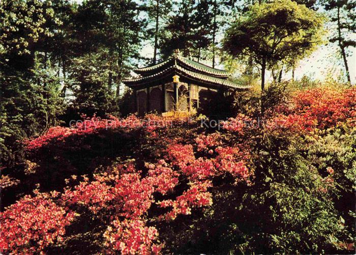BUGA Bundesgartenschau Euroflor Dortmund Azaleenbluete Japangarten Teehaus