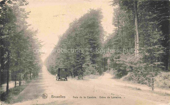 BRUXELLES Bruessel Brussels Bois de la Cambre Dreve de Lorraine
