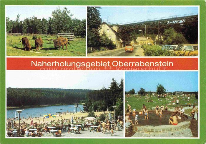 Oberrabenstein Chemnitz Sachsen Wisente im Wildgatter Viadukt Terrasse Planschbe