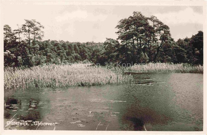 Oisterwijk NL Ghoorven Partie am Wasser