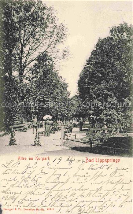BAD LIPPSPRINGE Allee im Kurpark