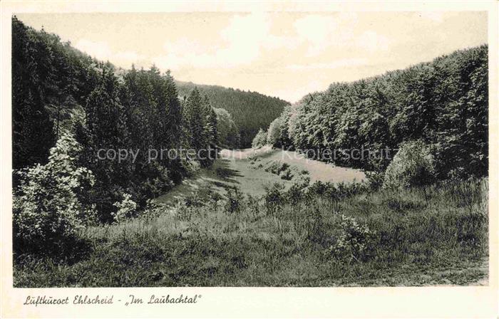 Ehlscheid Neuwied Rheinland-Pfalz Landschaftspanorama Laubachtal