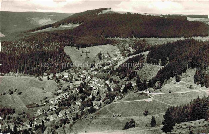 Wildemann Harz Fliegeraufnahme