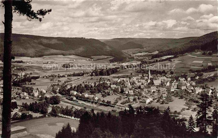 Baiersbronn Schwarzwald Panorama