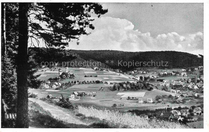 Baiersbronn Schwarzwald Panorama