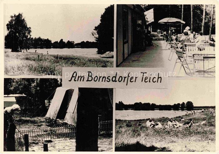 Bornsdorfer Teich  Bornsdorf Heideblick Brandenburg Teilansichten Strand Terrass