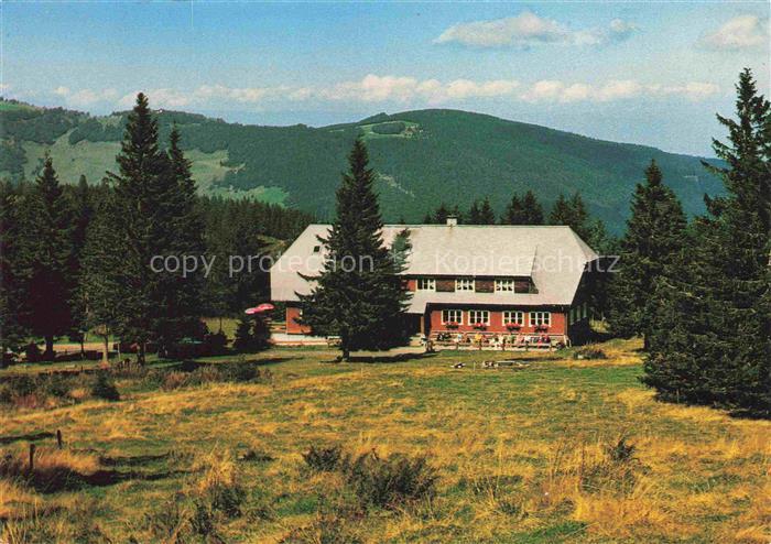Todtnauberg Schwarzwald BW Berggasthof Stuebenwasen