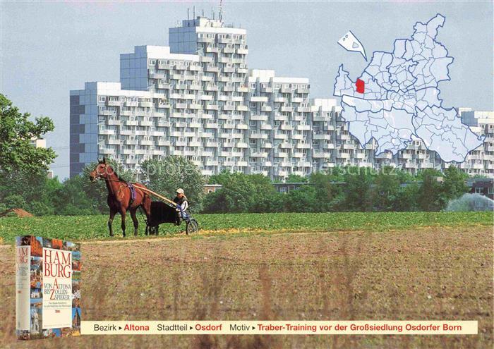 Osdorf Altona HAMBURG Traber Training vor der Gross Siedlung Osdorfer Born