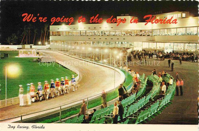 MIAMI  Florida USA Dog Racing